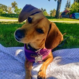 Meet your Posher, Emily